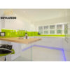 SOYLUSSO Kitchen Exclusive Modern Style Easy To Clean White Lacquer Modular Philippines Cabinet Hardware