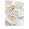 Modern ceiling lamp for dining room, bedroom, living room or kitchen - Image 9